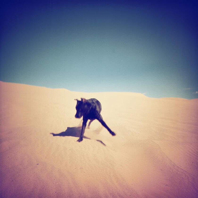 Untitled